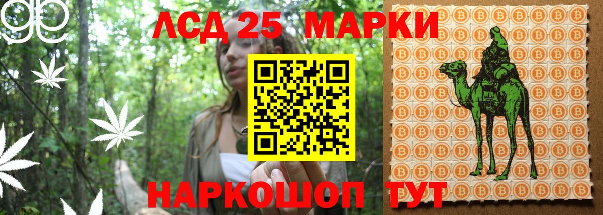 Марки N-bome 1500мкг Сосновый Бор