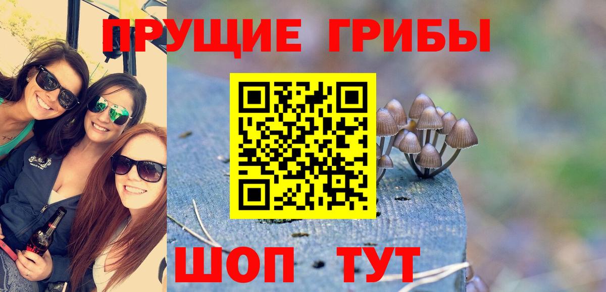Псилоцибиновые грибы MAGIC MUSHROOMS Сосновый Бор